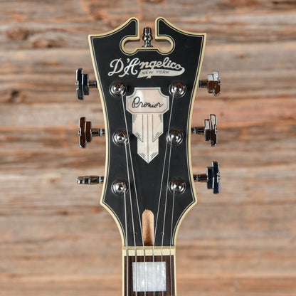 D'Angelico Premier SS Semi-Hollow Single Cutaway Bob Weir Signature Matte Stone Electric Guitars / Hollow Body