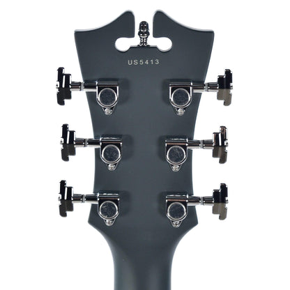 D'Angelico Premier Bob Weir Signature Electric Guitars / Semi-Hollow