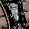 D'Angelico Premier DC Semi-Hollow Double Cutaway Trans Wine 2006 Electric Guitars / Semi-Hollow