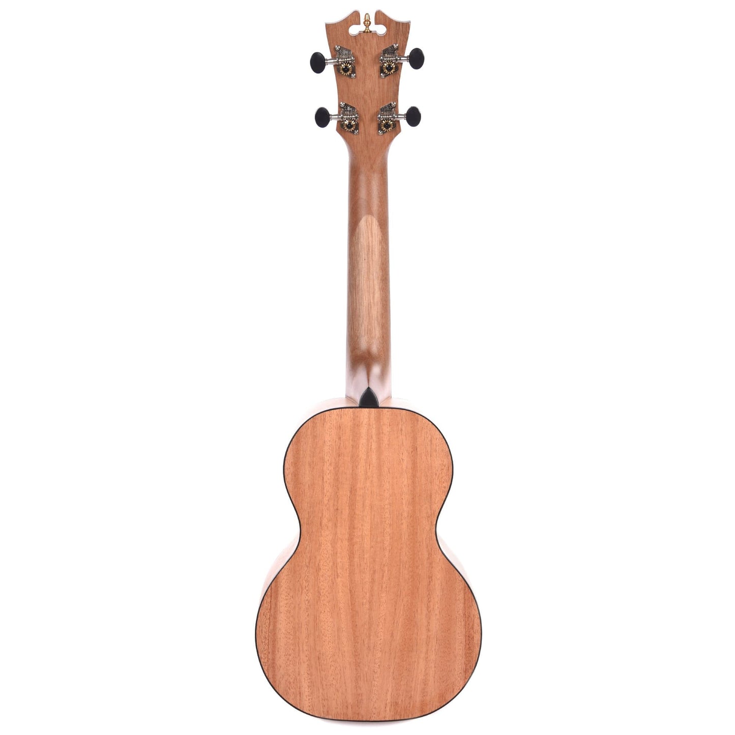D'Angelico Montauk Concert Mahogany Ukulele Folk Instruments / Ukuleles