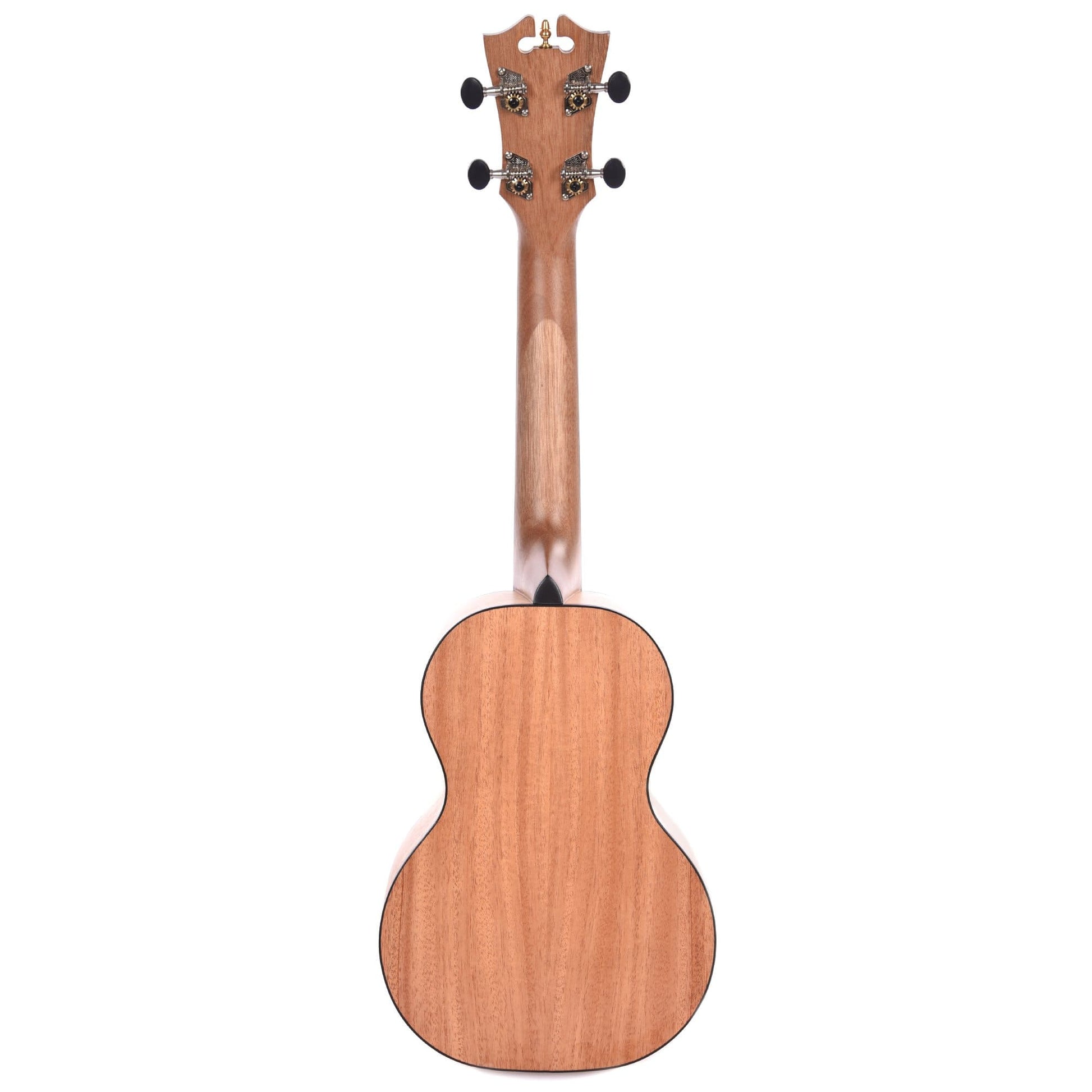 D'Angelico Montauk Concert Mahogany Ukulele Folk Instruments / Ukuleles