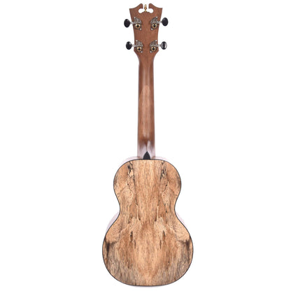 D'Angelico Montauk Concert Spalted Mango Ukulele Folk Instruments / Ukuleles