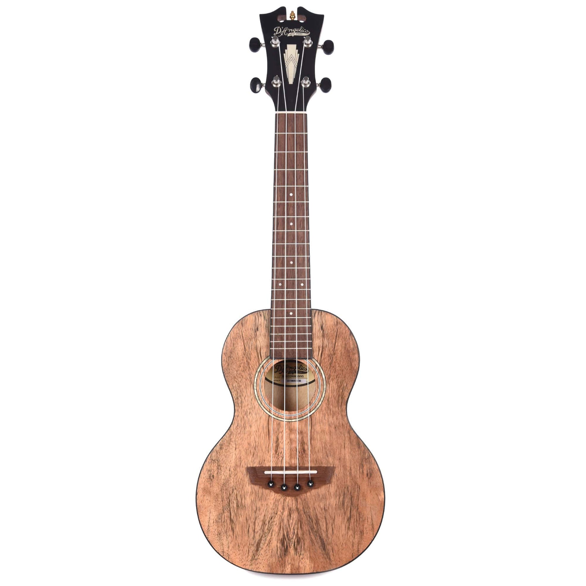 D'Angelico Montauk Concert Spalted Mango Ukulele Folk Instruments / Ukuleles