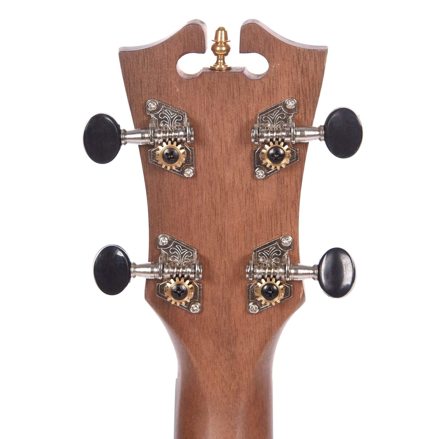 D'Angelico Montauk Concert Spalted Mango Ukulele Folk Instruments / Ukuleles