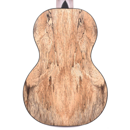 D'Angelico Montauk Concert Spalted Mango Ukulele Folk Instruments / Ukuleles