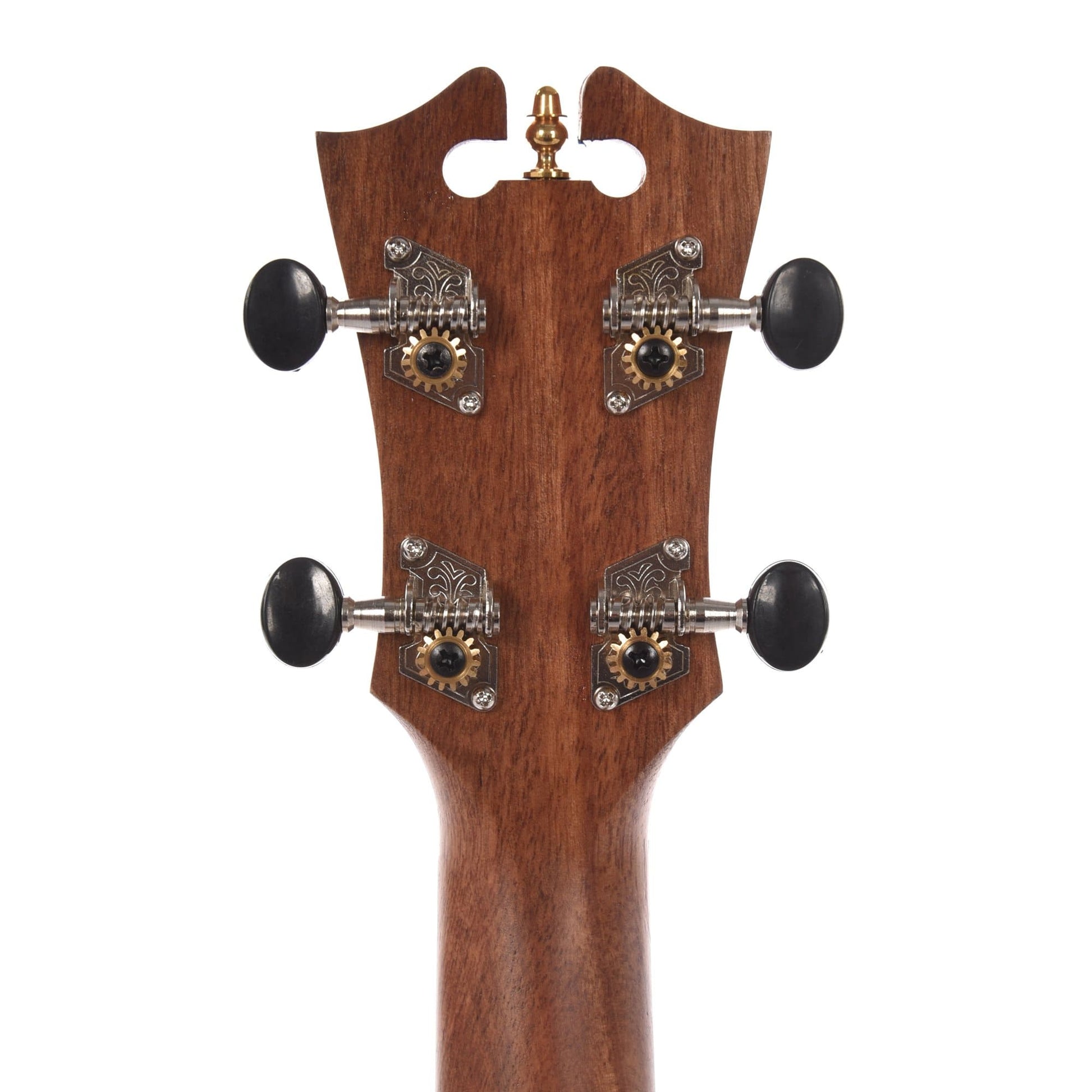 D'Angelico Montauk Soprano Spalted Mango Ukulele Folk Instruments / Ukuleles
