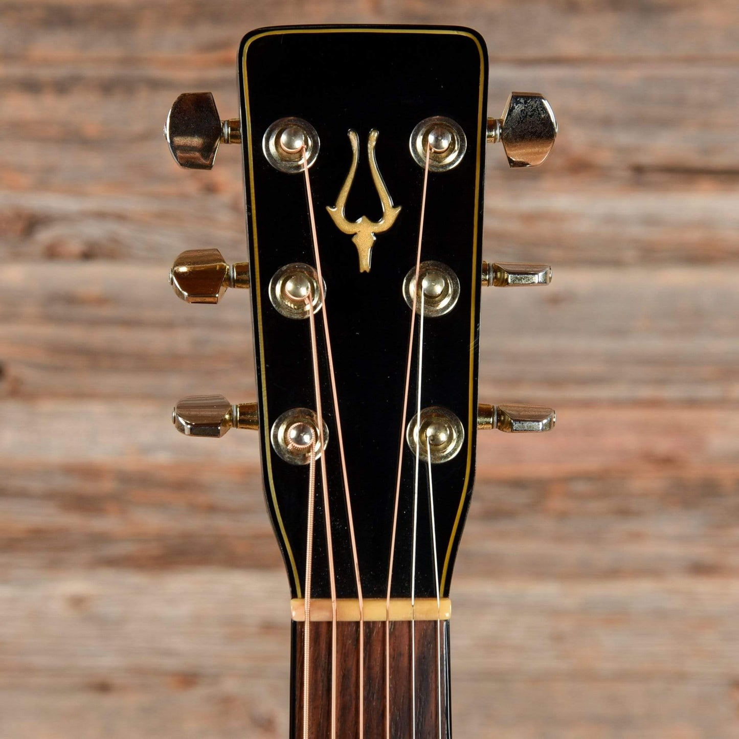 Daion The '79B Black 1979 Acoustic Guitars / Dreadnought