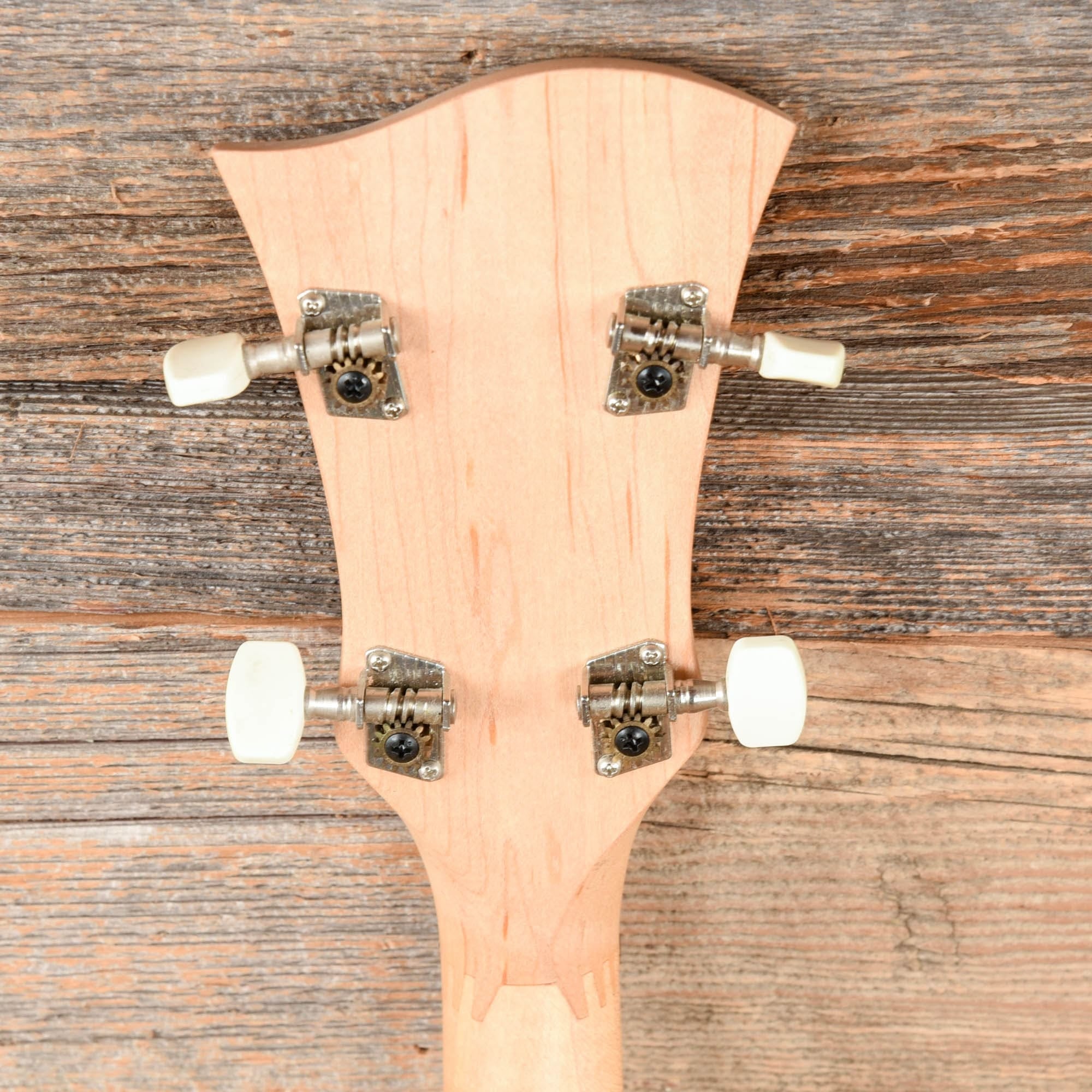 Deering Goodtime 5 Banjo Natural Folk Instruments / Banjos