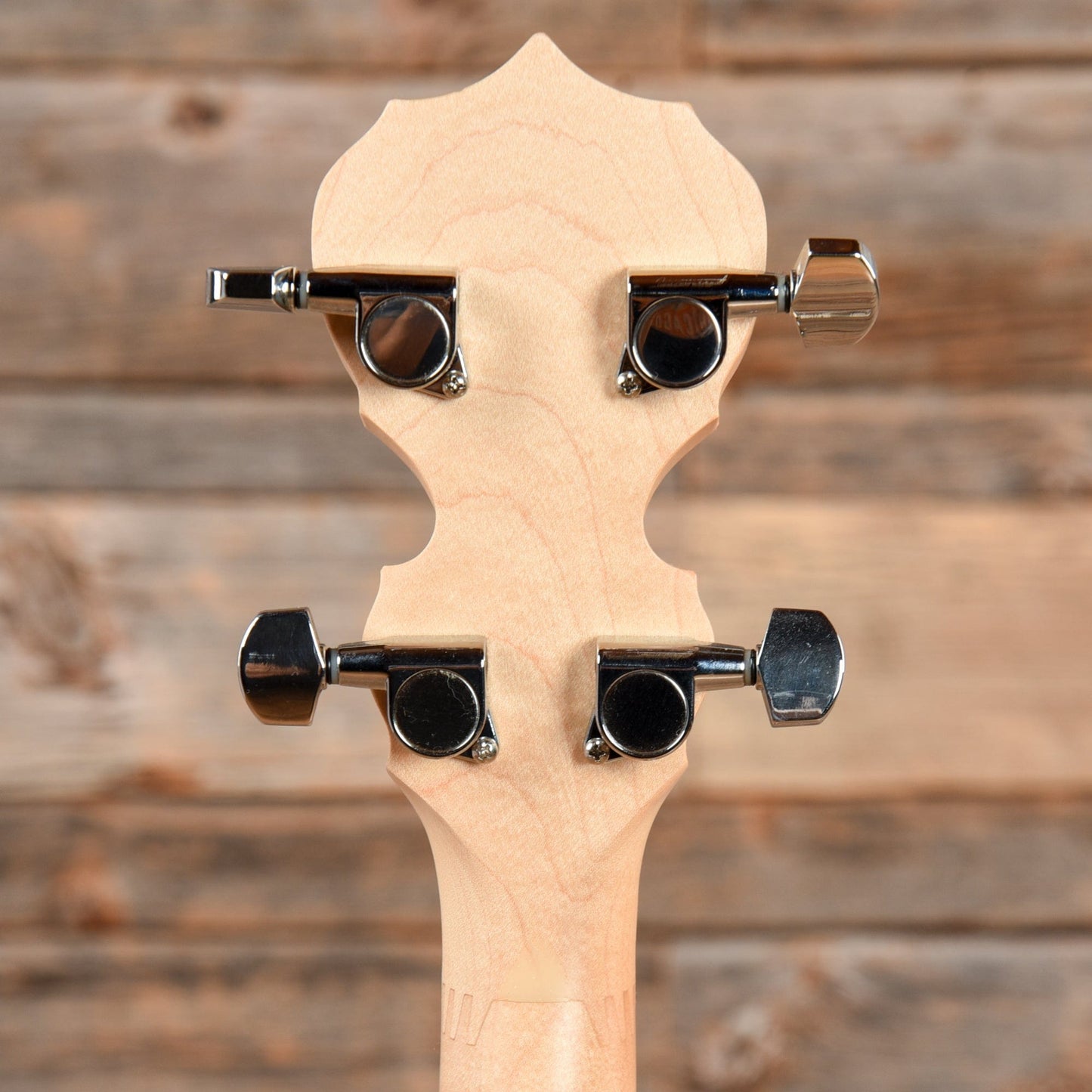 Deering Goodtime 5-String Banjo Folk Instruments / Banjos