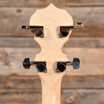 Deering Goodtime 5-String Banjo Folk Instruments / Banjos