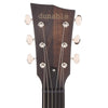 Dunable Asteroid Mahogany Tobacco Brown w/Direwolf Pickups Electric Guitars / Solid Body