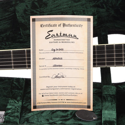 Eastman AR503CE Archtop Classic Electric Guitars / Archtop