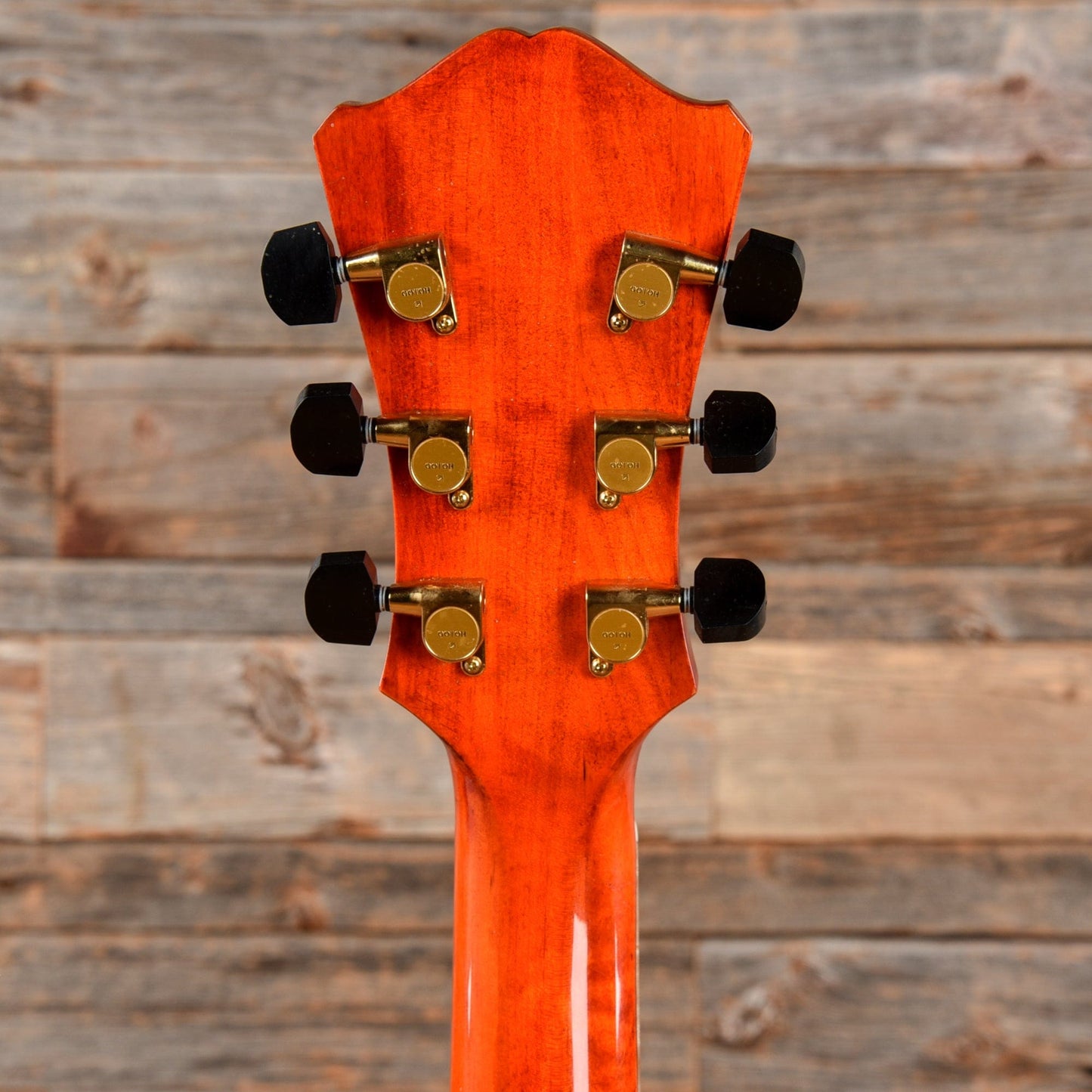 Eastman AR580CE-HB Honeyburst Electric Guitars / Hollow Body