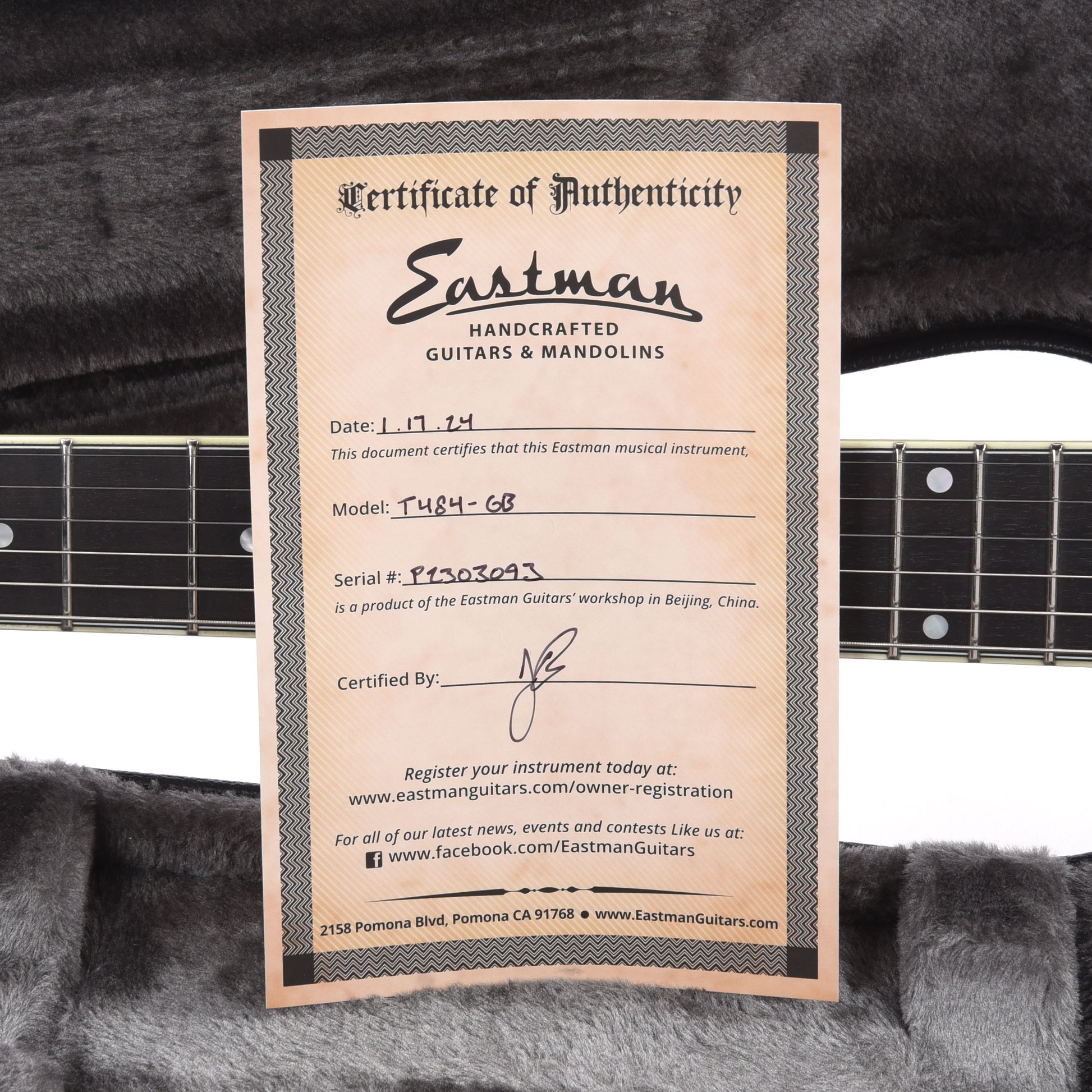 Eastman T484 Thinline Truetone Gloss Goldburst Electric Guitars / Semi-Hollow
