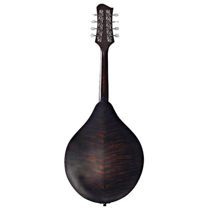 Eastman MD305 A-Style Mandolin Solid Spruce & Solid Maple Folk Instruments / Mandolins