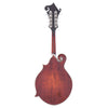 Eastman MD814 Adirondack/Flame Maple F-Style Oval Hole Mandolin Classic Finish Folk Instruments / Mandolins