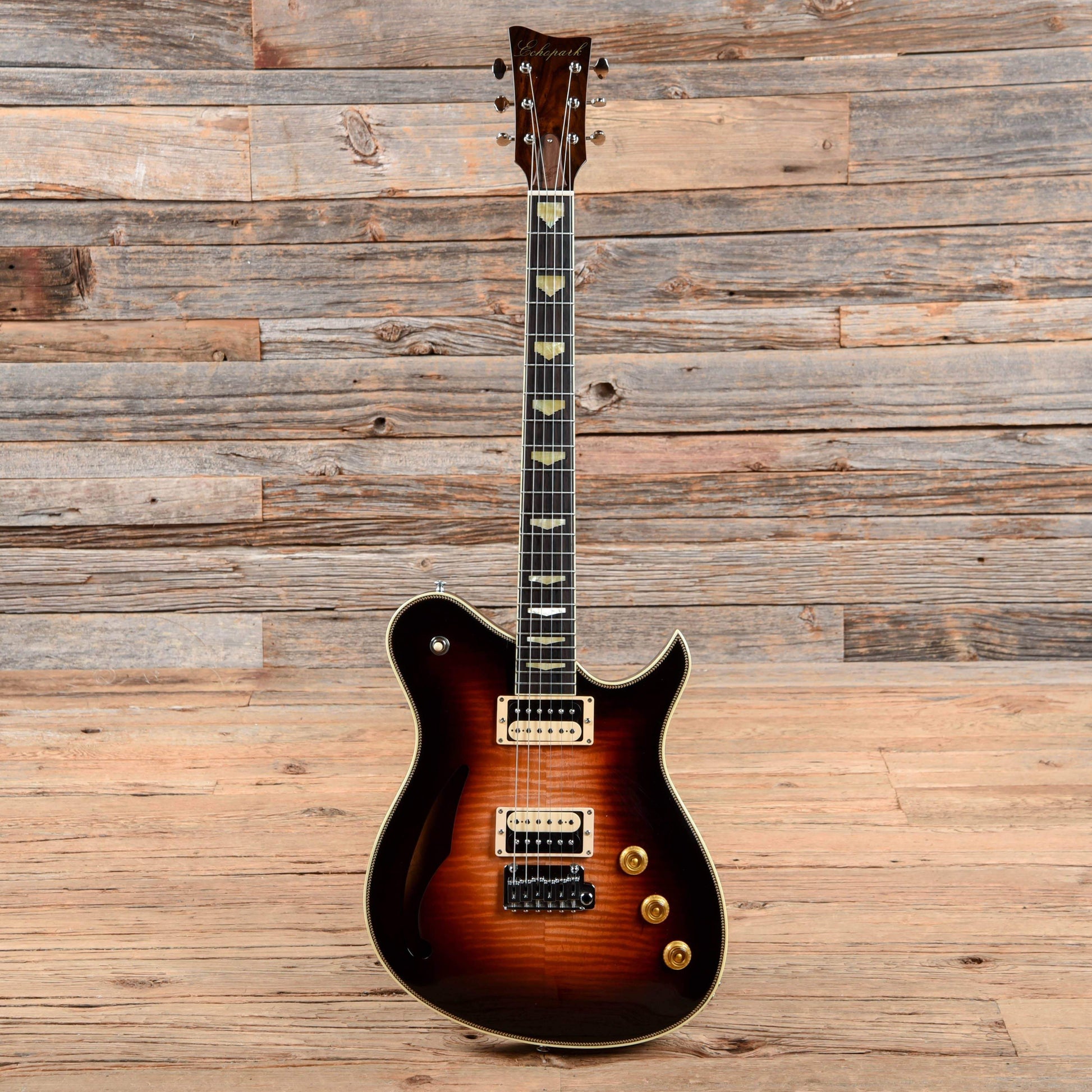 Echopark Alvarado Electric Guitars / Semi-Hollow