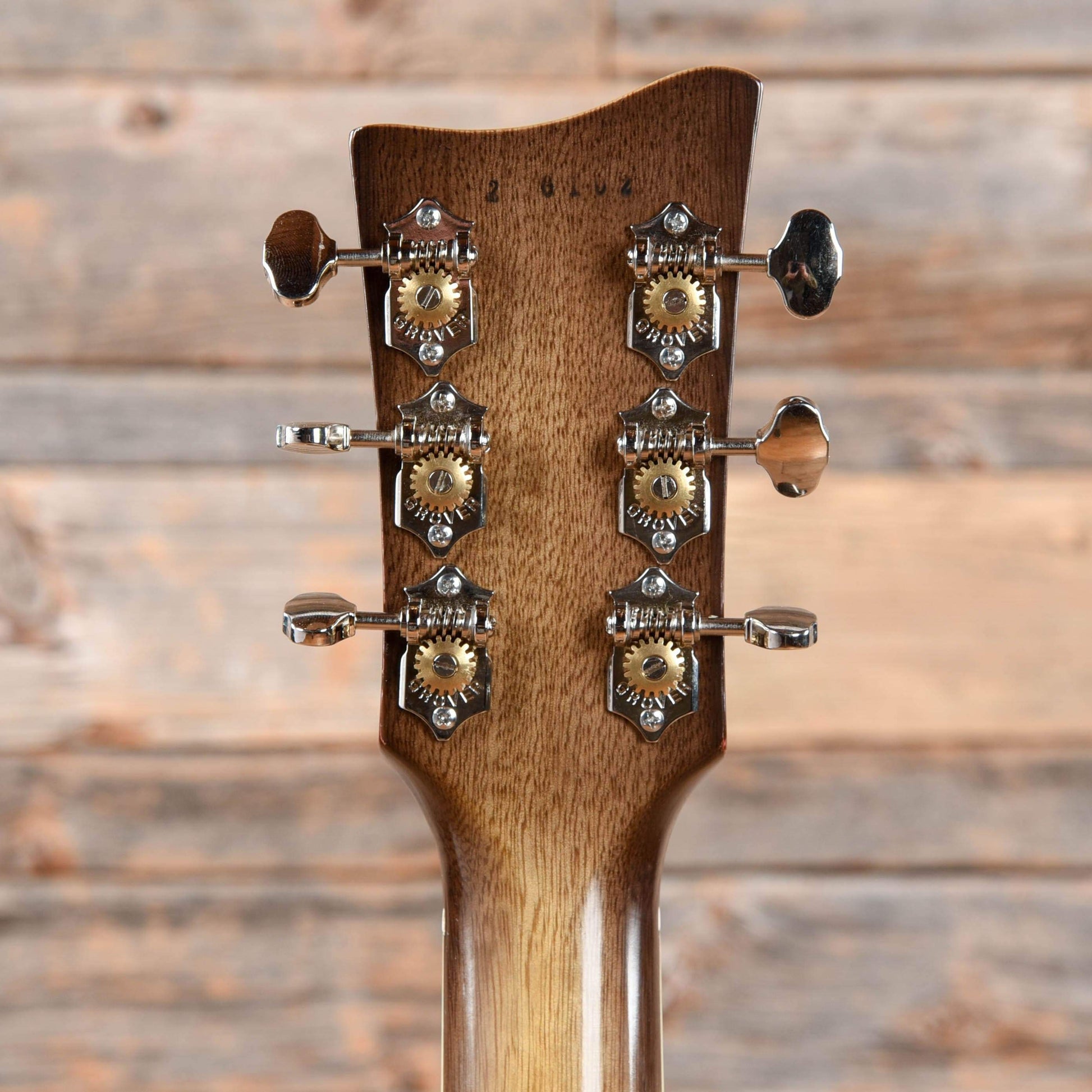 Echopark Alvarado Electric Guitars / Semi-Hollow