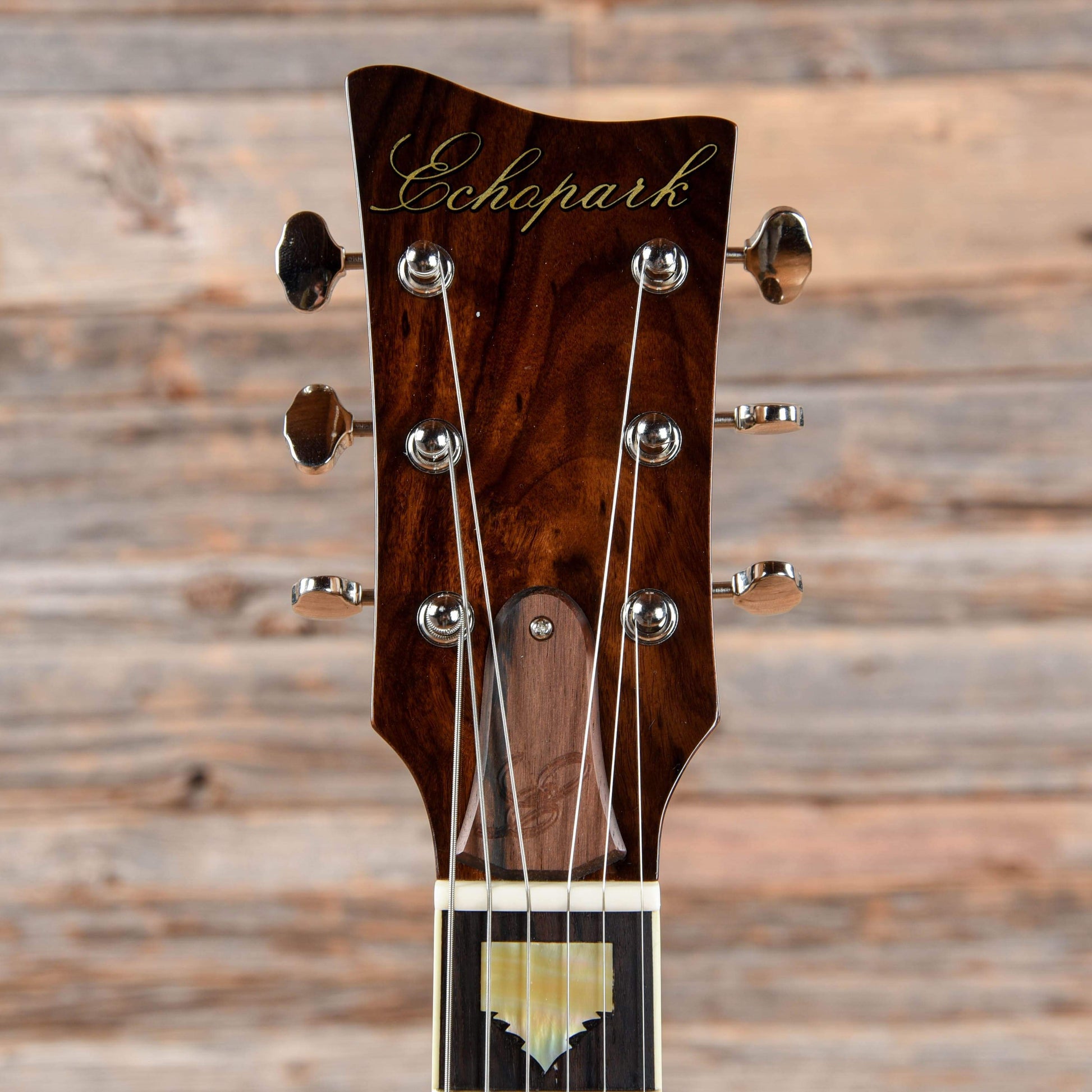 Echopark Alvarado Electric Guitars / Semi-Hollow