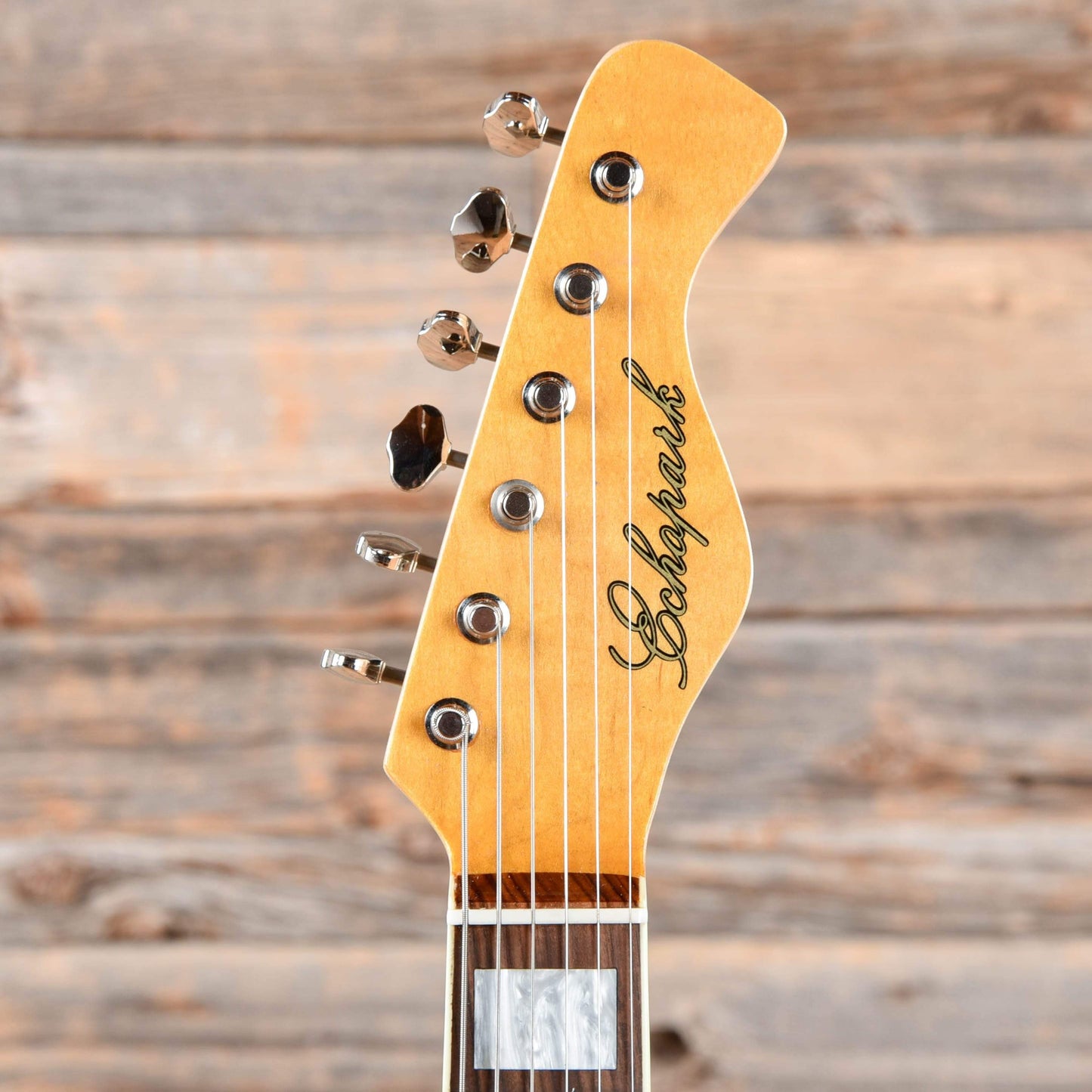 Echopark Model J Electric Guitars / Semi-Hollow