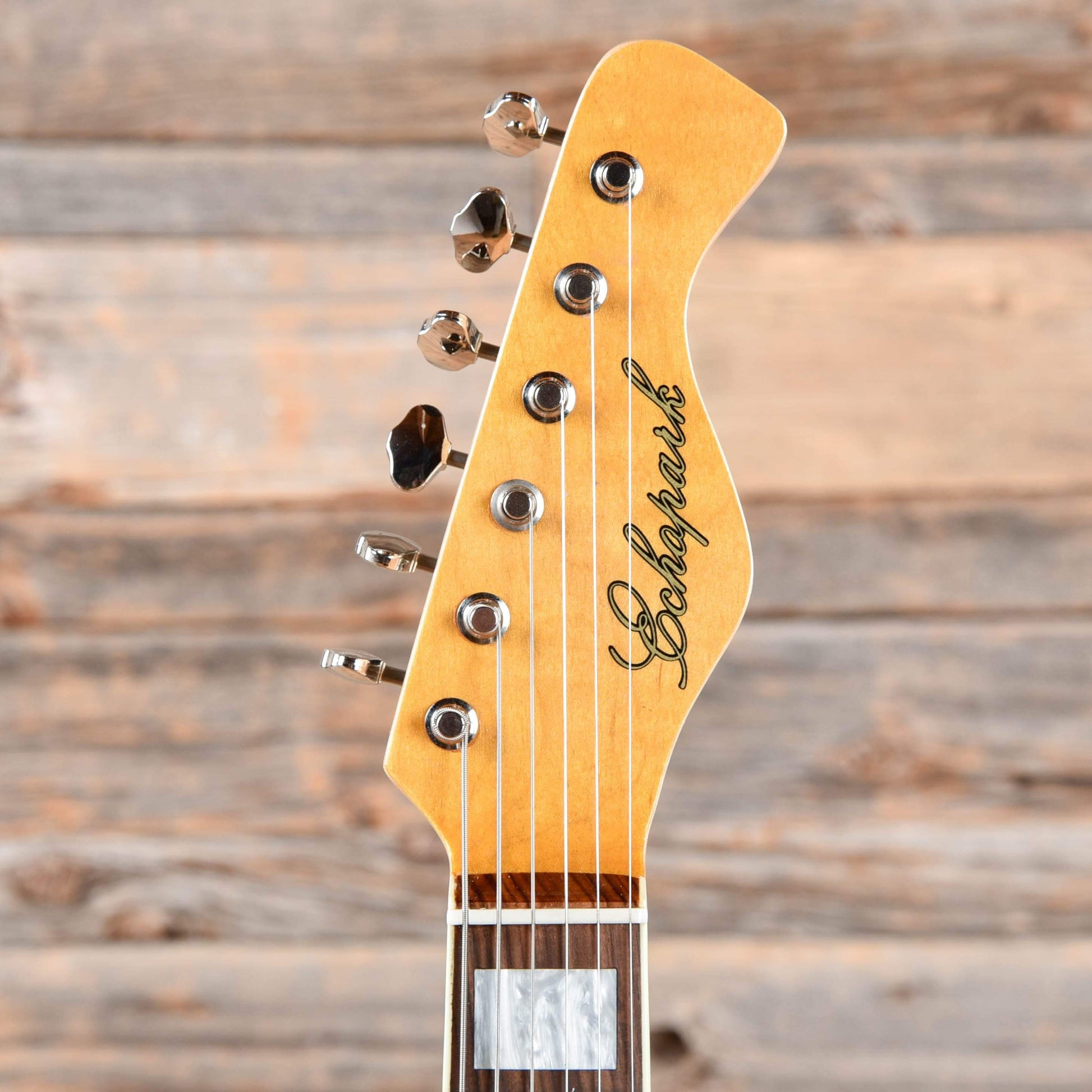 Echopark Model J Electric Guitars / Semi-Hollow