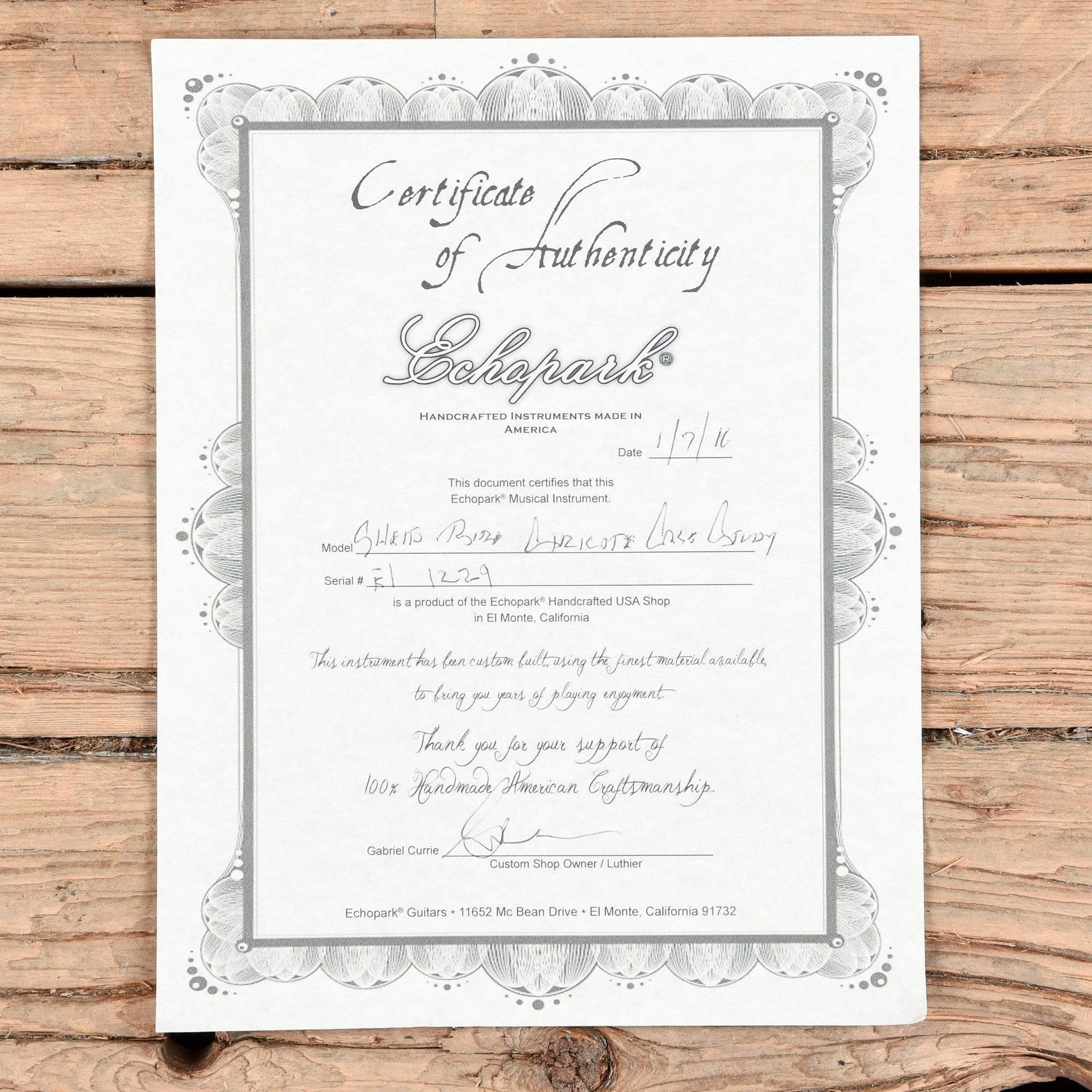 Echopark Ghetto Bird Ziricote Case Study Sunburst 2016 Electric Guitars / Solid Body