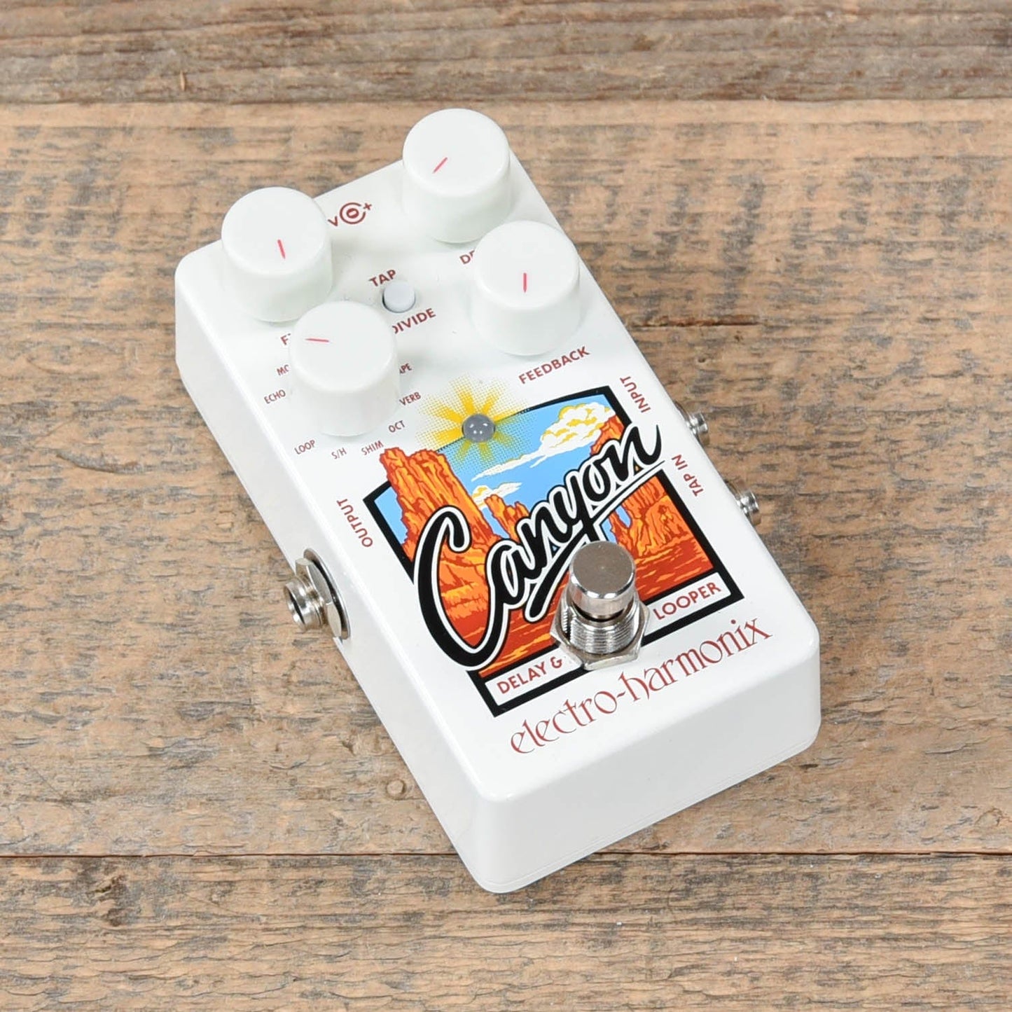 Electro-Harmonix Canyon Delay and Looper Effects and Pedals / Delay