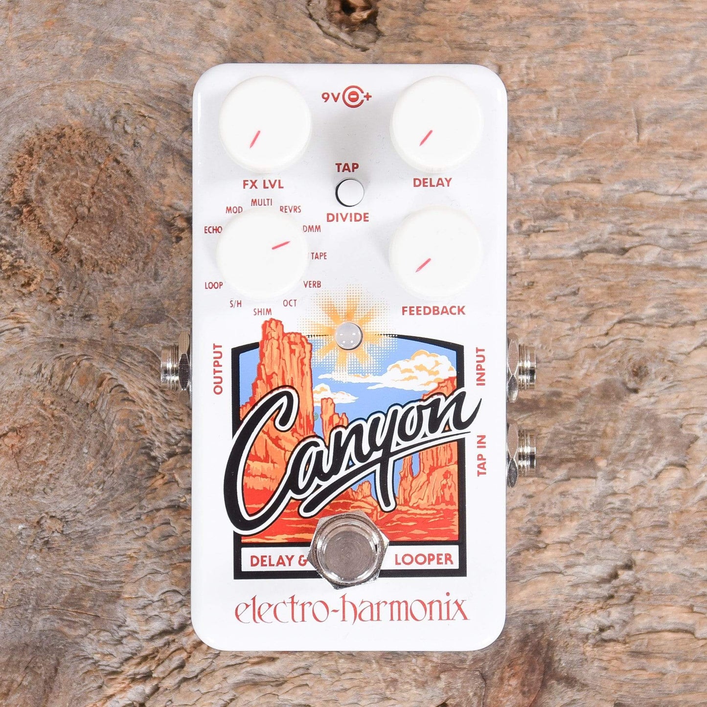 Electro-Harmonix Canyon Delay and Looper Effects and Pedals / Delay