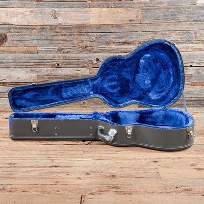 Epiphone Limited Peter Frampton "1964" Texan Premium Outfit w/Signed Certificate & LR Baggs DS-ELE Acoustic Guitars / Built-in Electronics