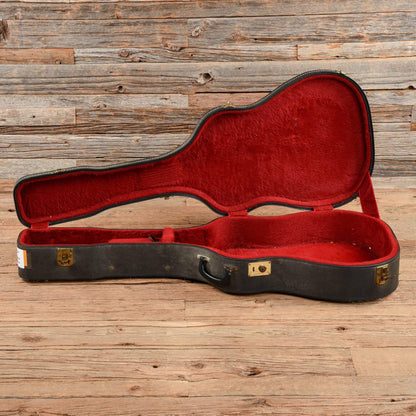 Epiphone FT-110 Frontier Natural 1965 Acoustic Guitars / Dreadnought