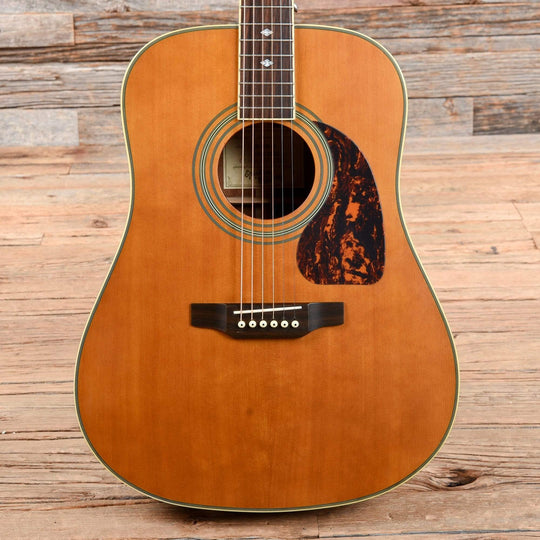 Epiphone Masterbilt DR-500MNS Natural 2012 Acoustic Guitars / Dreadnought