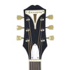 Epiphone PRO-1 Plus Dreadnought Acoustic Ebony CH Acoustic Guitars / Dreadnought