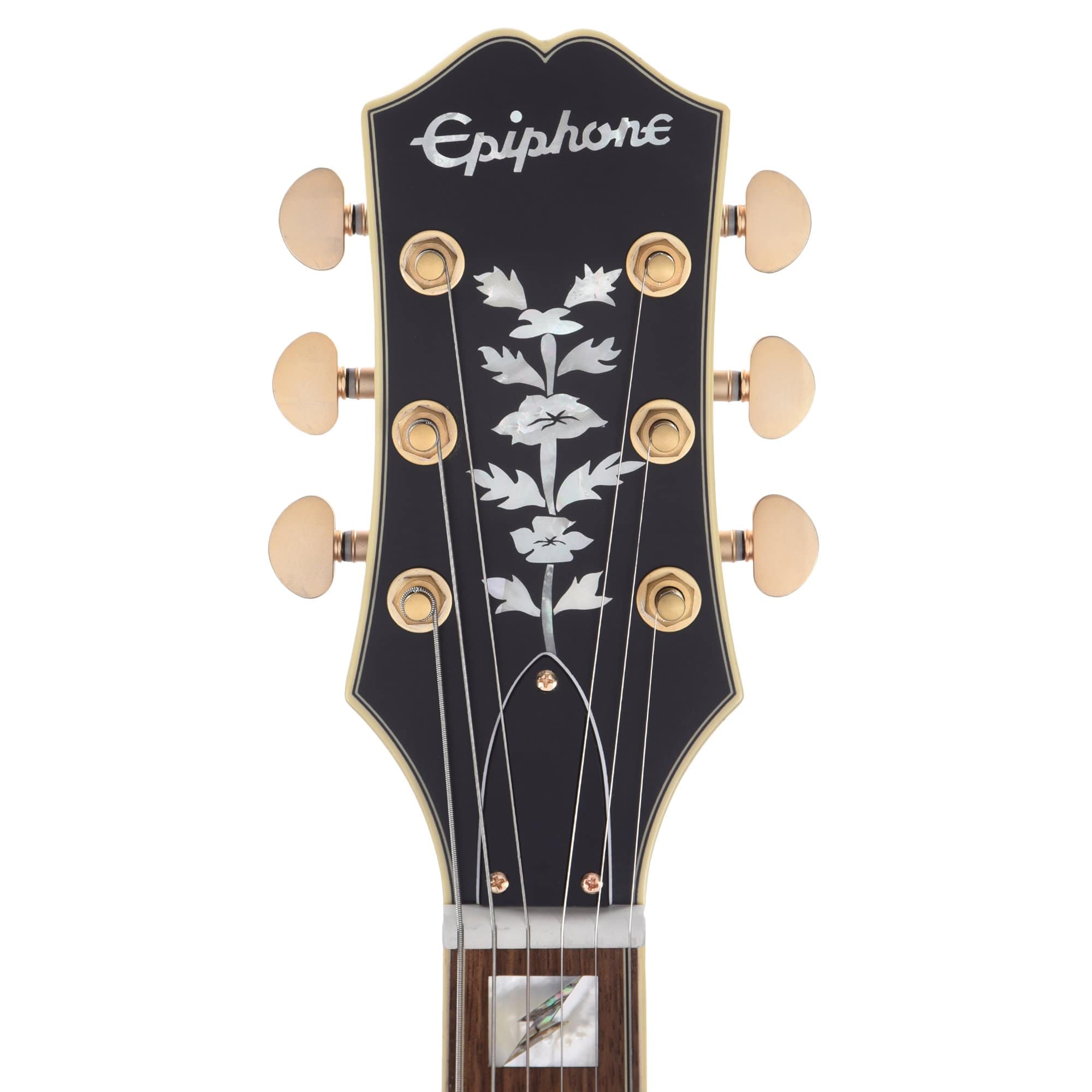 Epiphone Emily Wolfe Sheraton Stealth Black Aged Gloss w/EpiLite Case Electric Guitars / Semi-Hollow