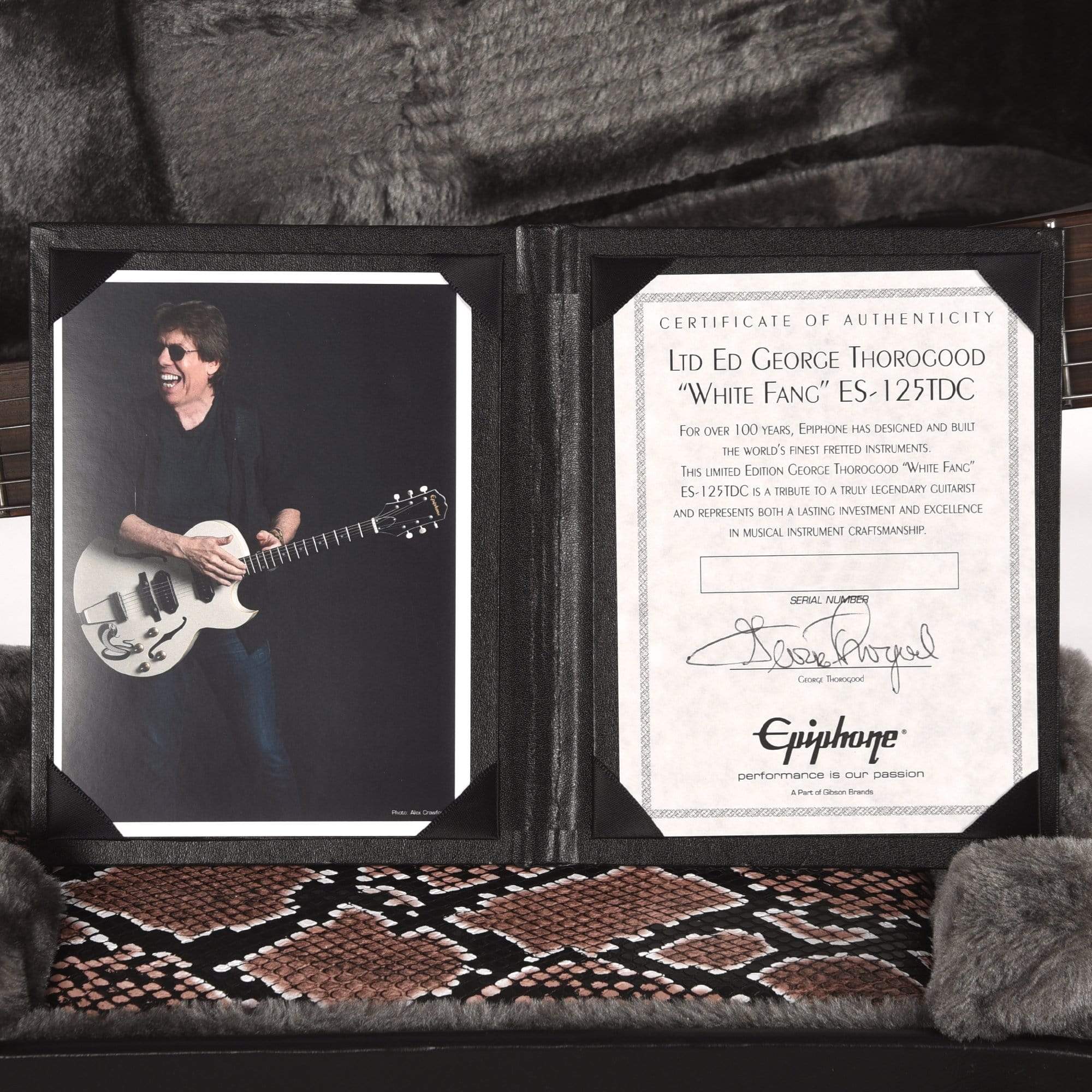 Epiphone George Thorogood 