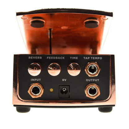 Ernie Ball Expression Ambient Delay Effects and Pedals / Delay