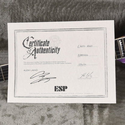 ESP Alexi Hexed Purple Fade w/Pinstripes Electric Guitars / Solid Body