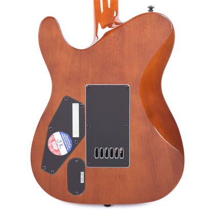 ESP LTD TE-1000 Evertune Koa Natural Gloss Electric Guitars / Solid Body