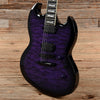 ESP LTD Viper-1000 See Thru Purple Sunburst 2020 Electric Guitars / Solid Body
