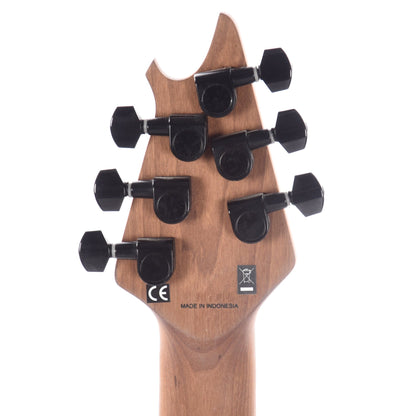 EVH Wolfgang WG Standard Quicksilver Electric Guitars / Solid Body