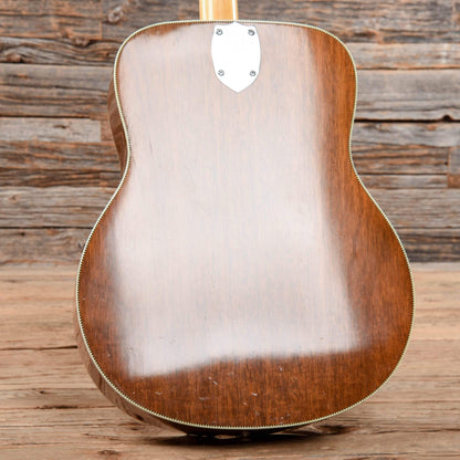 Fender Concert Natural 1960s Acoustic Guitars / Concert