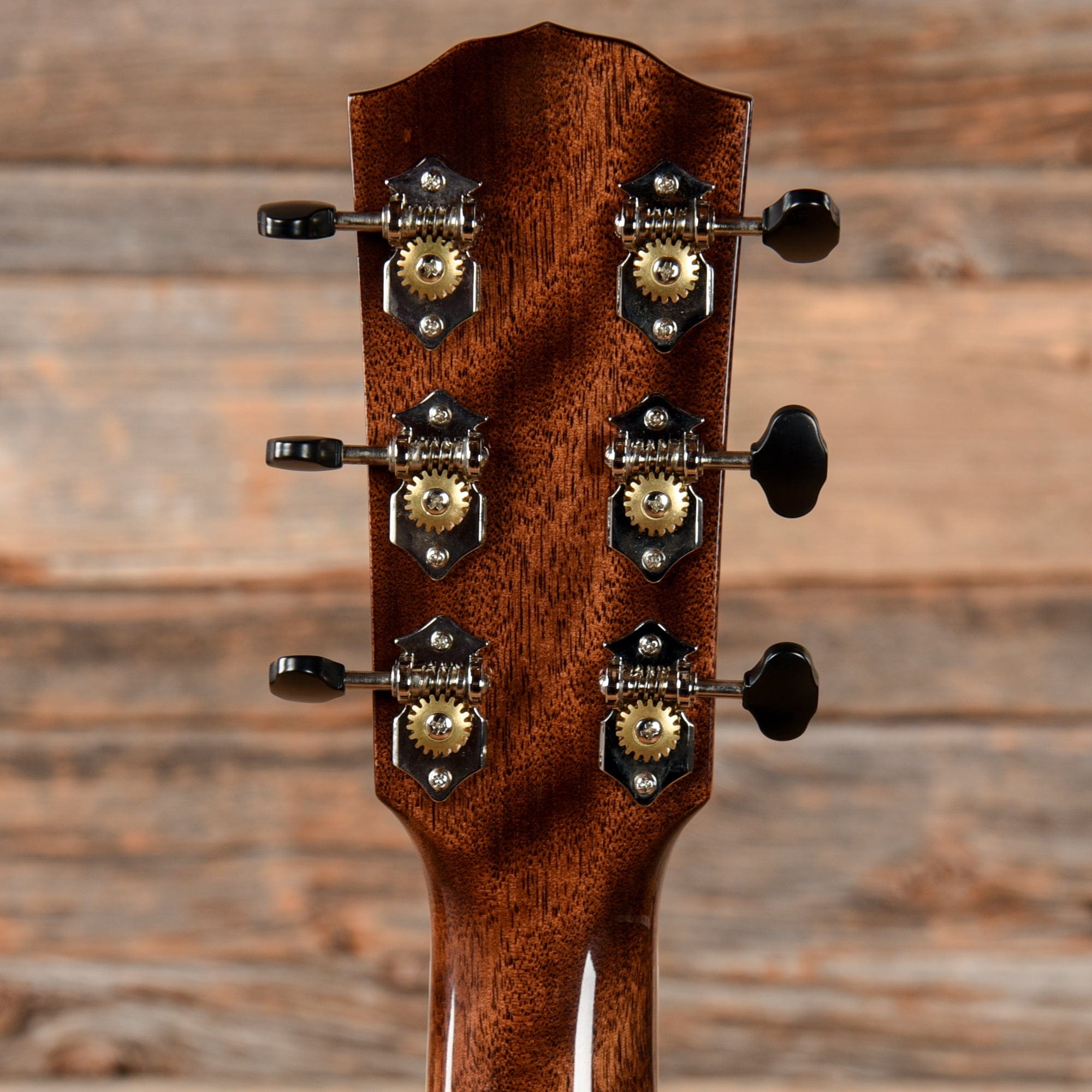 Fender Paramount PM-1 Deluxe Natural 2016 Acoustic Guitars / Dreadnought