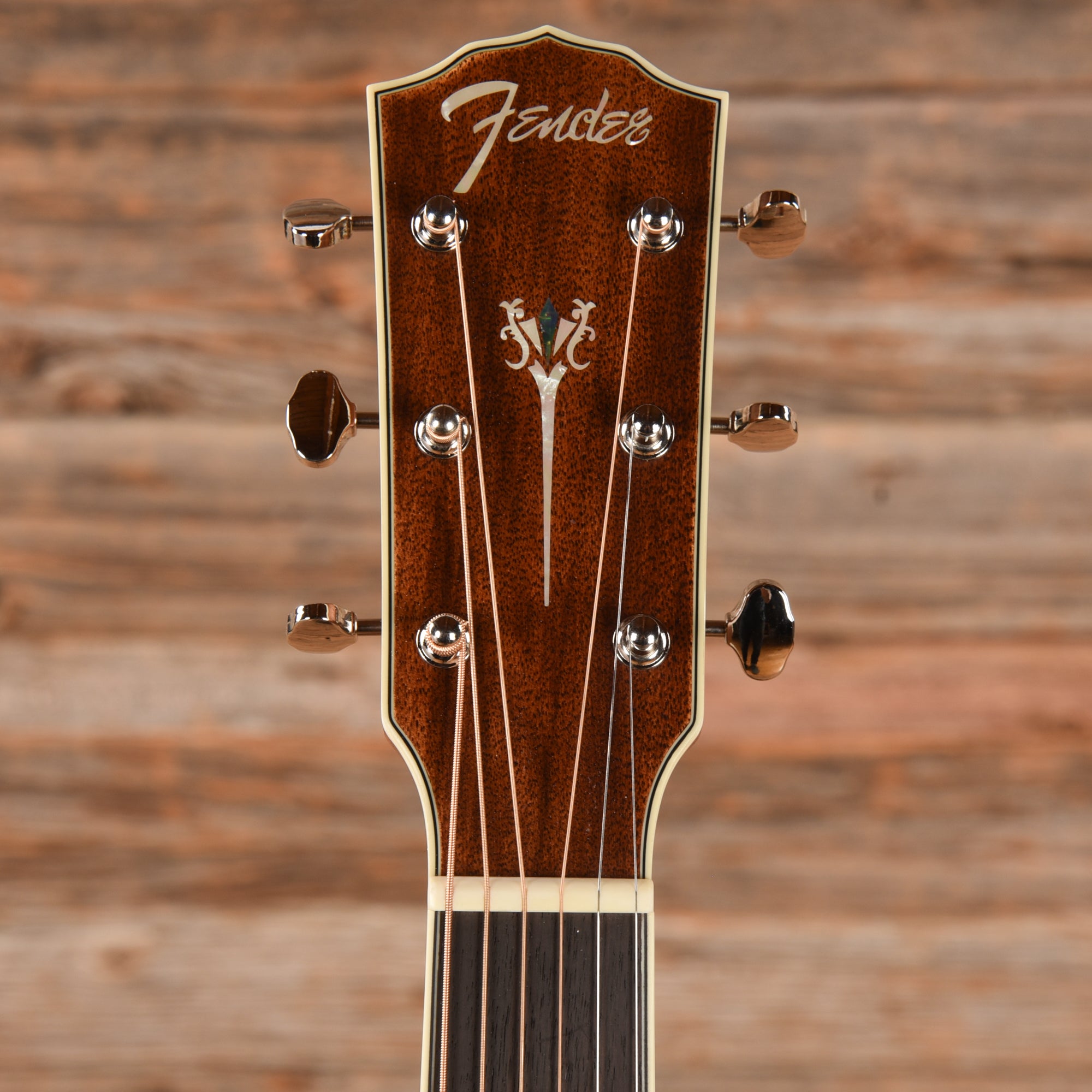 Fender PM-1 All Mahogany NE Brow 2017 Acoustic Guitars / Dreadnought