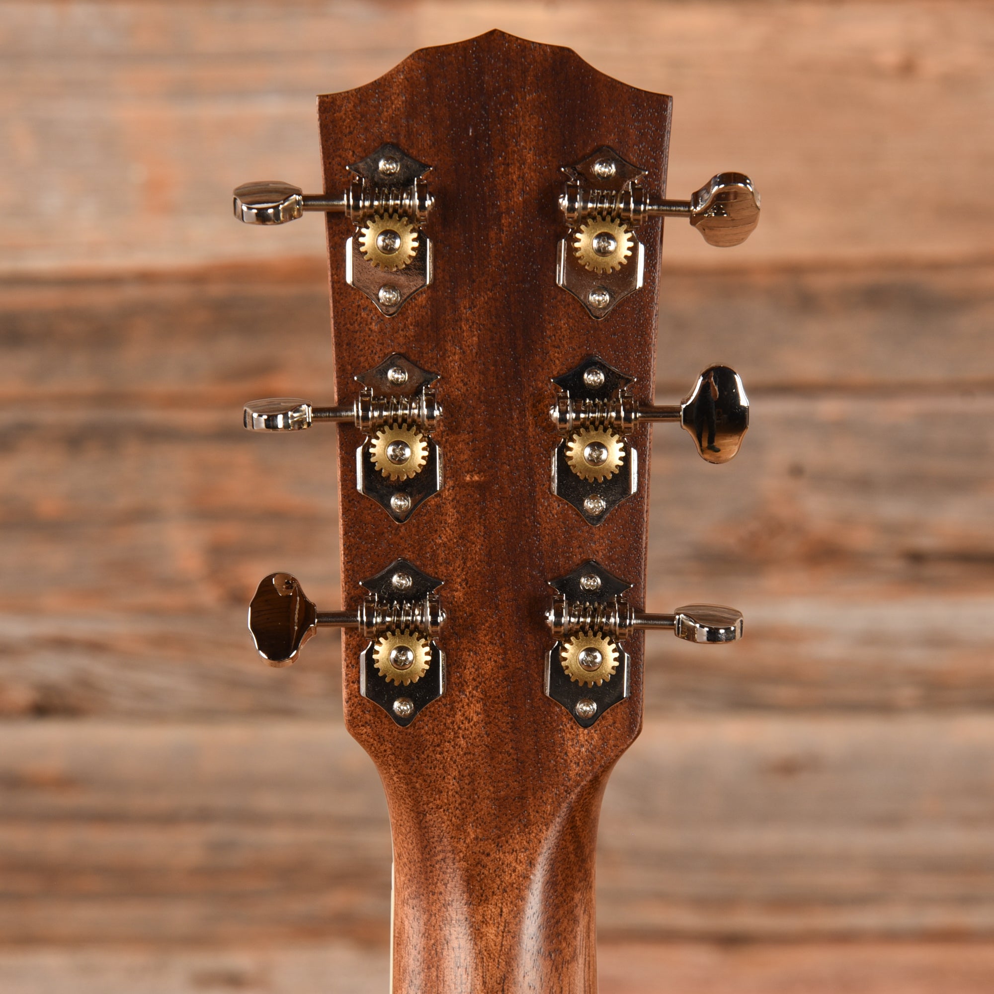 Fender PM-1 All Mahogany NE Brow 2017 Acoustic Guitars / Dreadnought