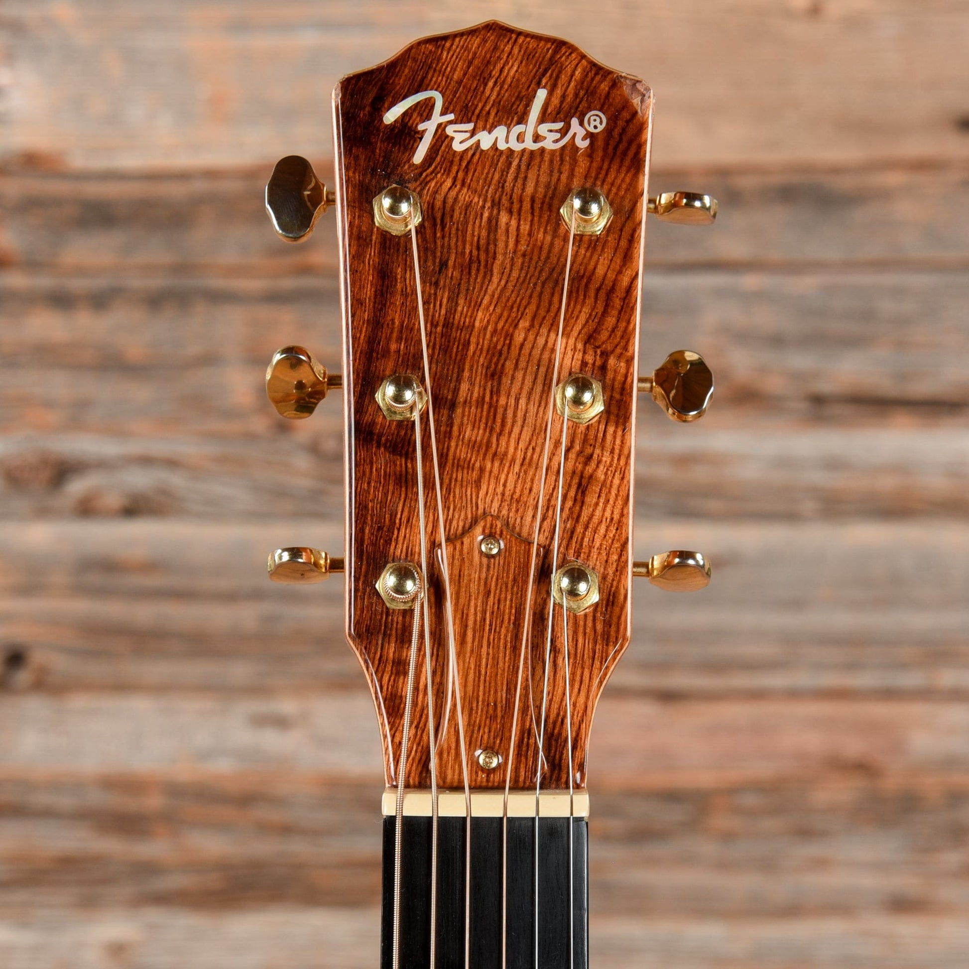 Fender ESM-10E Natural Acoustic Guitars / OM and Auditorium