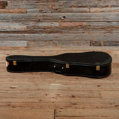 Fender Newporter Acoustic Natural Acoustic Guitars / OM and Auditorium