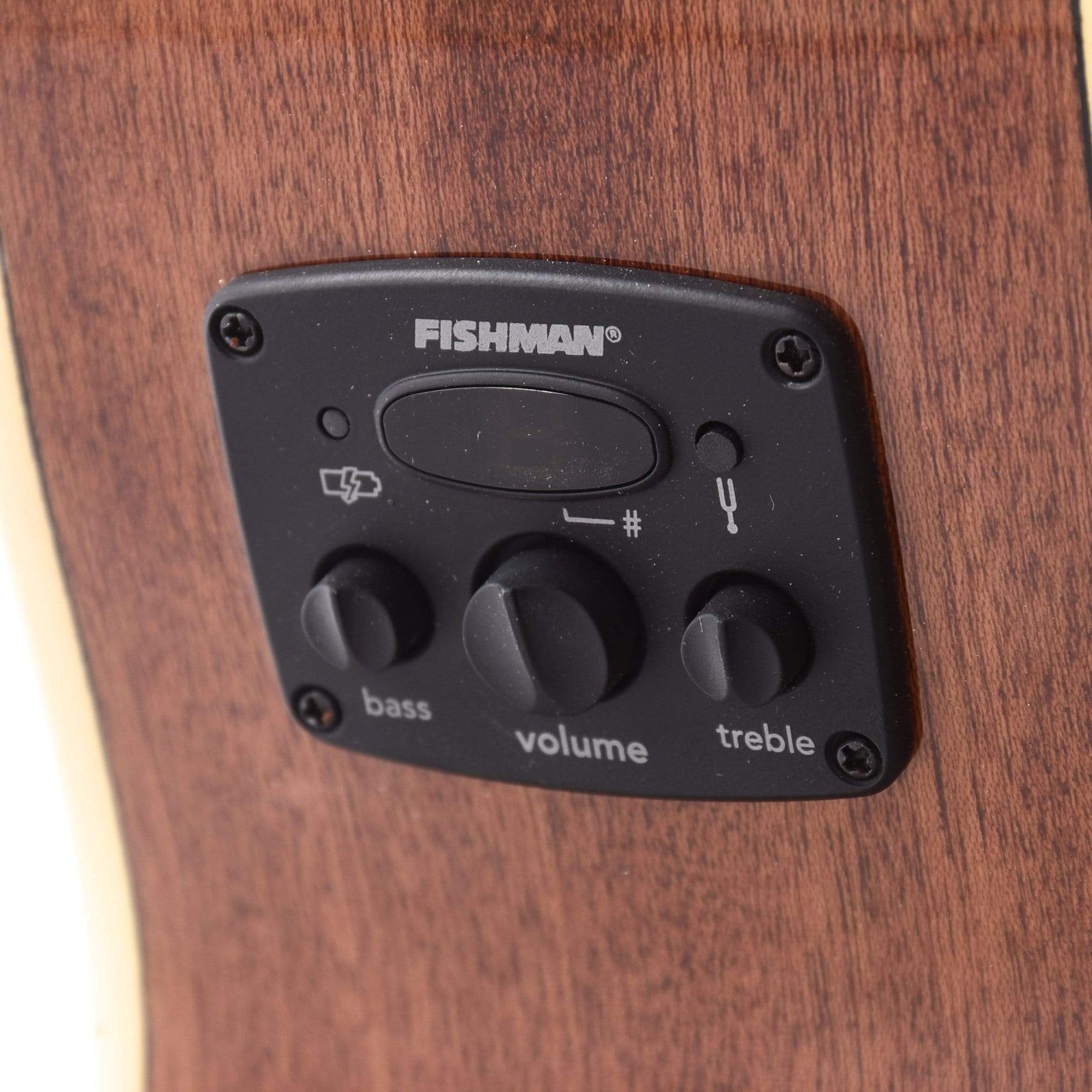 Fender Newporter Player Acoustic Sunburst Acoustic Guitars / OM and Auditorium