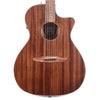 Fender Newporter Special Acoustic All Mahogany Natural Acoustic Guitars / OM and Auditorium