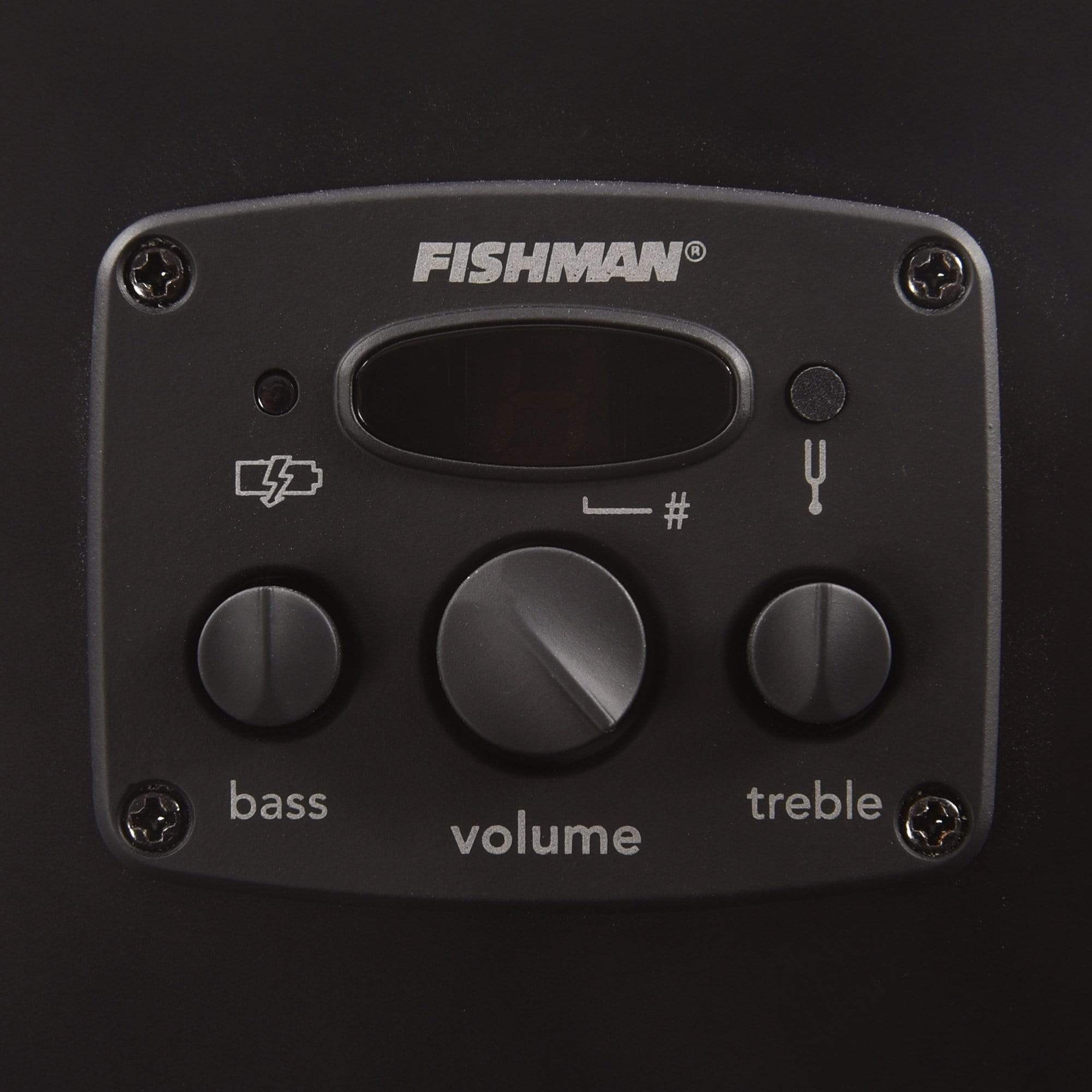 Fender Artist Joe Strummer Campfire Matte Black Acoustic Guitars / Parlor