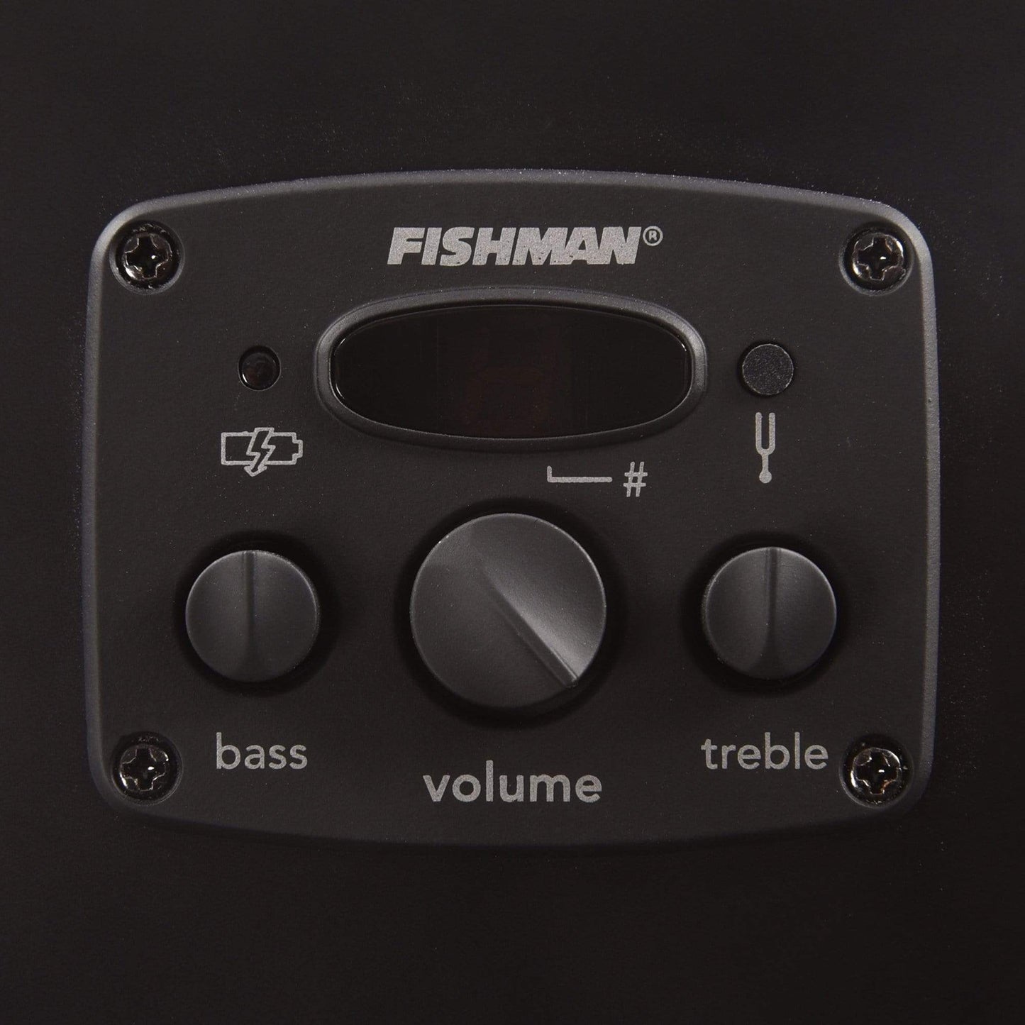 Fender Artist Joe Strummer Campfire Matte Black Acoustic Guitars / Parlor