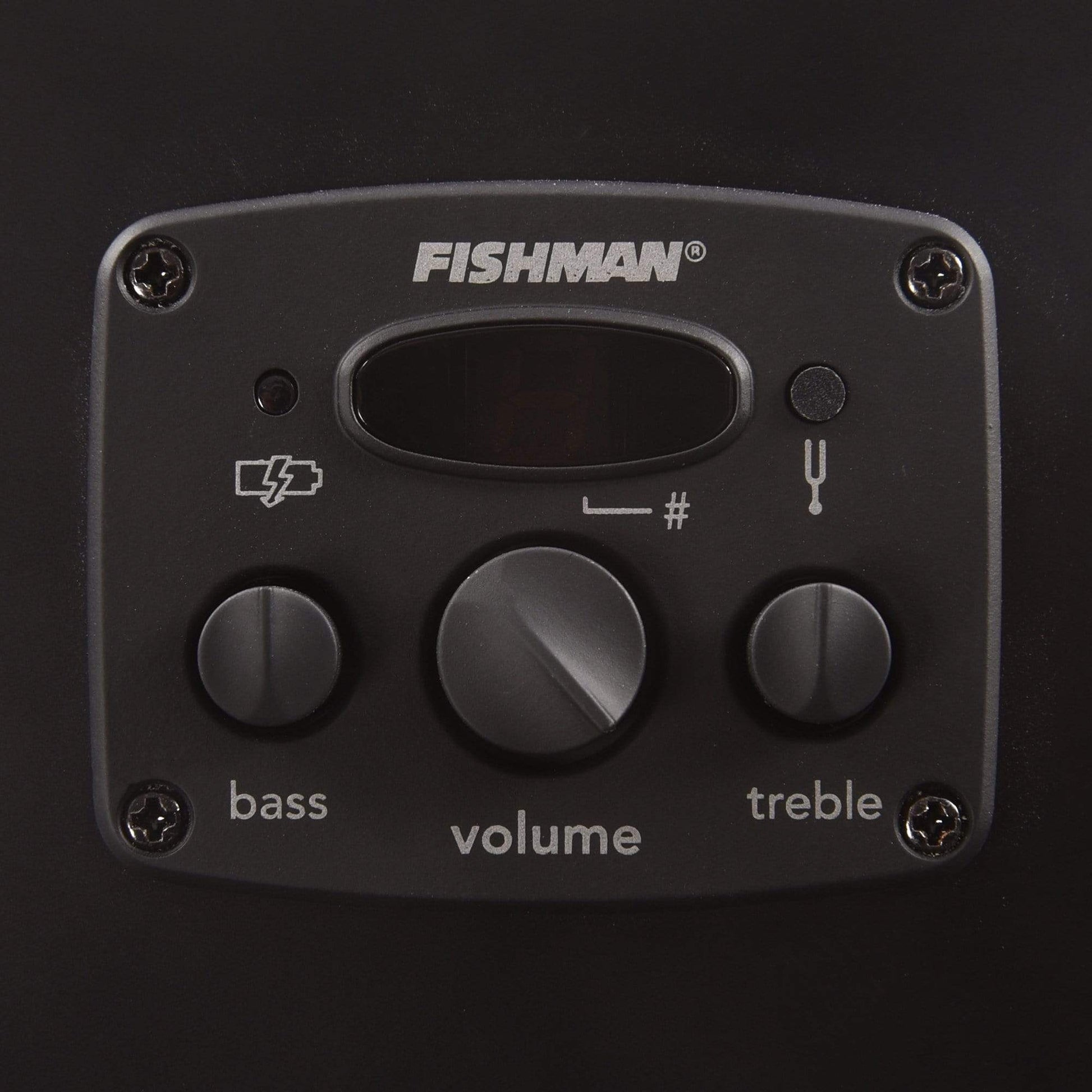 Fender Artist Joe Strummer Campfire Matte Black Acoustic Guitars / Parlor